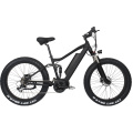 Unique Design 100Km/h Fat Tire Mountain Bicycle